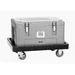 Transportwagen TBGN110