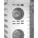 Combi-steamer Silversteam P-10111DRS