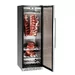 Dry Age kast 380