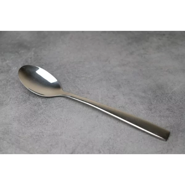 Terra 18/8 tafellepel L209xH2,5mm