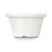 Ramekin