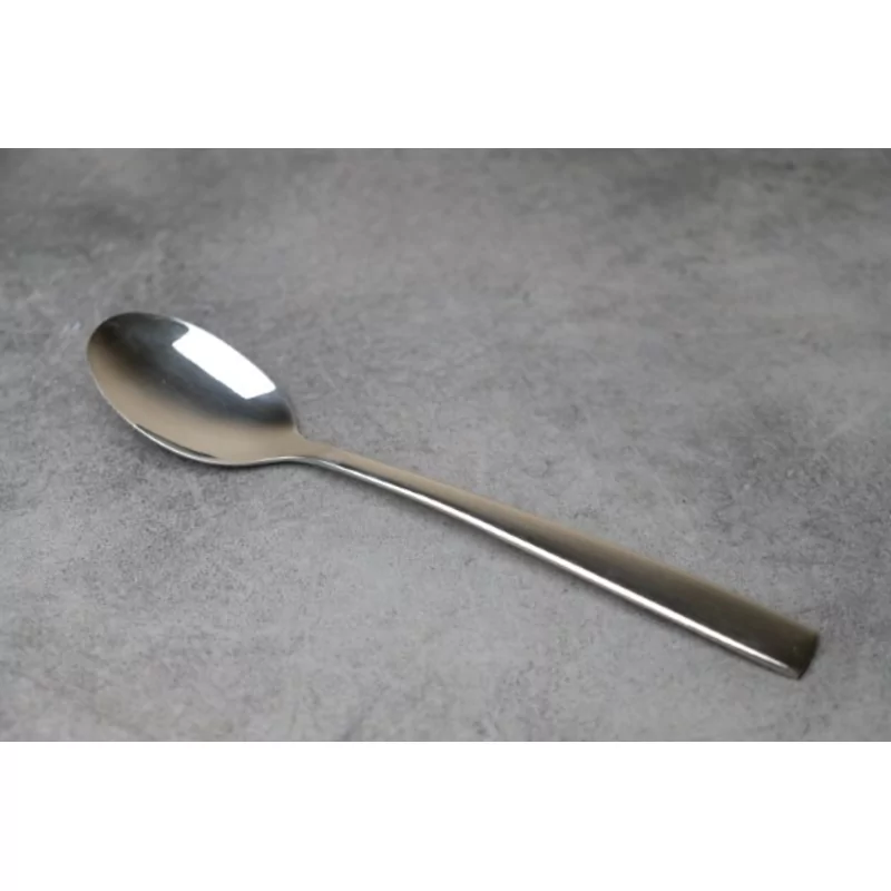 Terra 18/8 tafellepel L209xH2,5mm