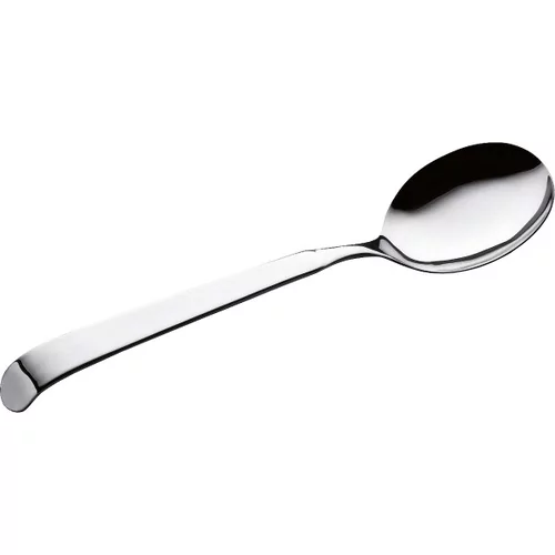 Pintinox Astra 18/10 Dienlepel L280xB70mm